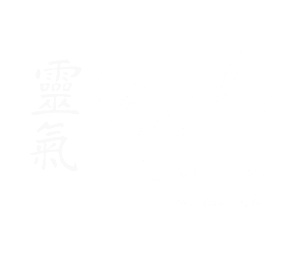 Reiki Level One Anna Kelly (1)